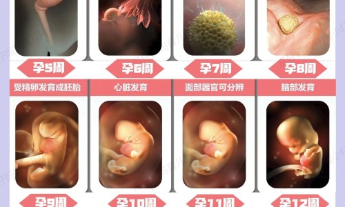 腹股沟湿疹图片初期症状图片-腹股沟皮脂腺囊肿症状网腹股沟皮脂腺囊肿症状表现知识网站,分享腹股沟皮脂腺囊肿怎么治疗大全